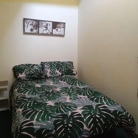 Daire Su Due Livelli, 2 Da Letto E Camino